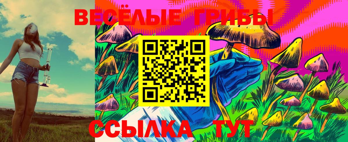 купить наркотики сайты  Псилоцибиновые грибы Magic Shrooms  Галлюциногенные грибы Magic Shrooms  Вход с VPN  Донецк 