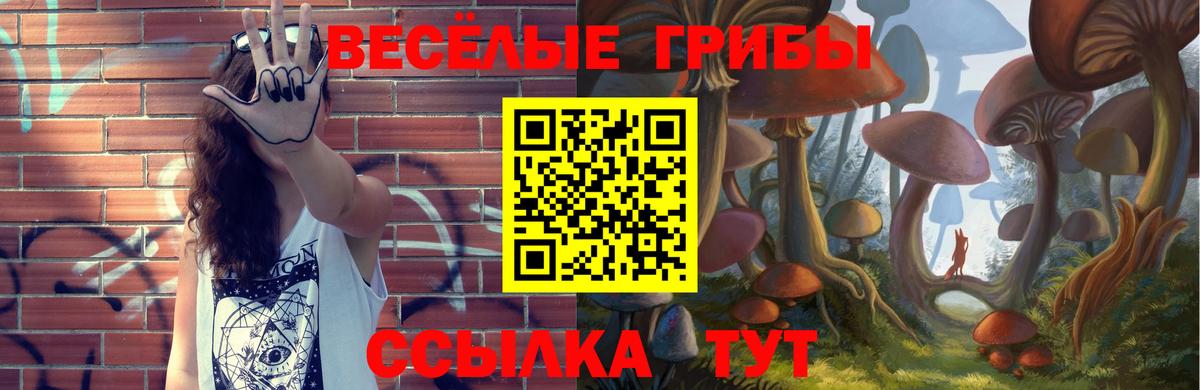 Галлюциногенные грибы мухоморы Донецк